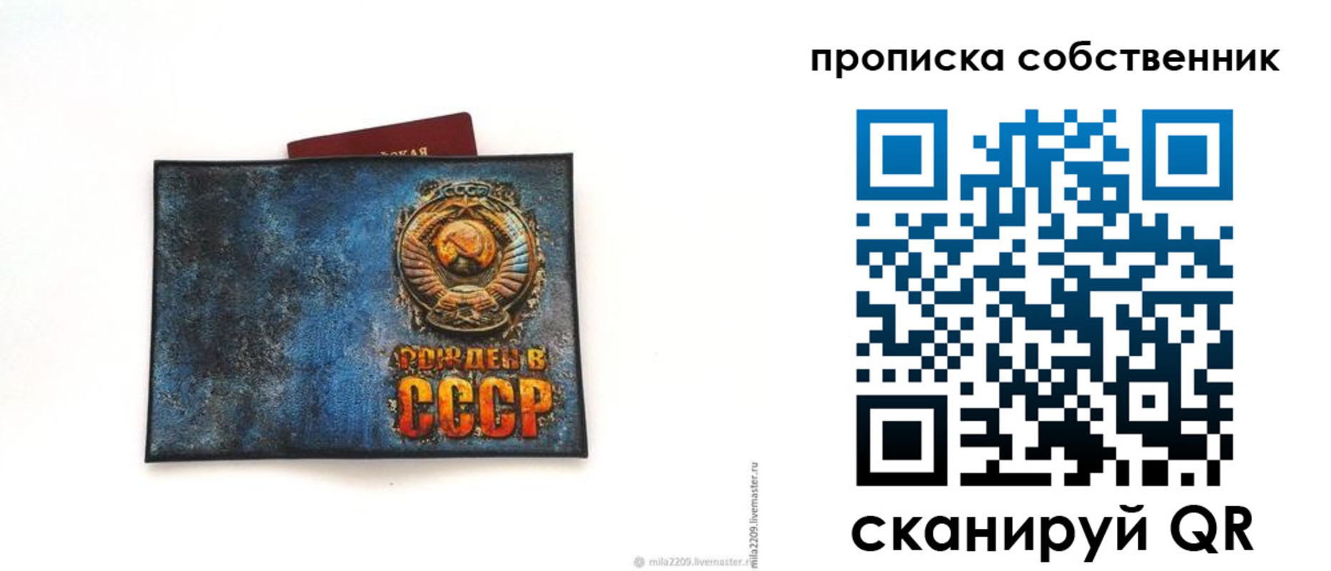 временная регистрация 2025 в Светлограде